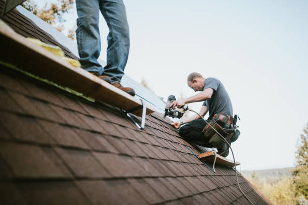 Trusted Haleyville, AL Roofing Contractor Experts